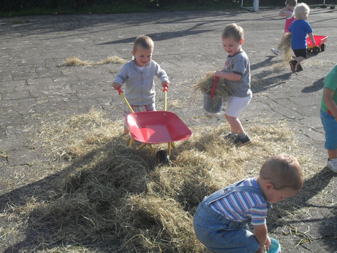 Een groep jonge kinderen speelt met hooi op een verharde ondergrond en gebruikt een kruiwagen.